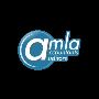 Amla Auditors INC