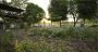 Discover Authentic Farm-to-Table Dining 