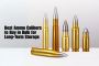 Best Ammo Calibers to Buy in Bulk for Long-Term Storage