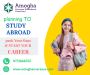  The Role of Education Consultants for Studying Abroad in Co