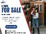 Your Guide to Horses for Sale in Ontario