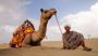 7 Days Rajasthan Tour Package from Delhi | Amsah Tours