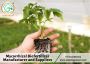 Anand Agrocare is a Mycorrhizal biofertilizer manufacturer a