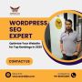 WordPress SEO Expert for Top Rankings in 2025