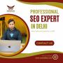 Professional SEO Expert in Delhi 
