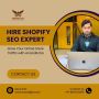 Hire Shopify SEO Expert – Grow Your Online Store Traffic 