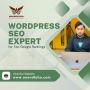 WordPress SEO Expert for Top Google Rankings