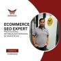 Ecommerce SEO Expert Services by AnandKJha