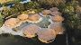 Top Luxury Hotels in Gir Gujarat for a Lavish Jungle Stay  