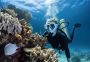 Snorkeling Tour Packages in Andaman Islands