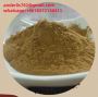 Luo Han Guo(Lo Han Guo)Extract,mogroside wholesale
