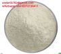 Milk thistle extract silymarine silibinin wholesale