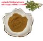 Purslane herbs extract wholesale