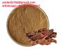 Salidroside Rhodiola rosea extract wholesale
