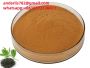 Tea Polyphenols tea extract wholesale