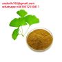 Ginkgo Biloba Extract wholesale