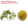 Aiye Leaf Extract wholesale