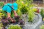 Landscape Construction and Stonemasonry - Old World Hardscap