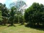 8383 m² RESIDENTIAL FARM LOT, Aya, Talisay, Batangas