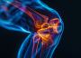 knee specialist dubai | Knee Surgeon Dubai Dr Rik Kundra
