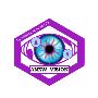 Anew Vision