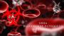 Medical Fraud Waste And Abuse Training | training-hipaa.net