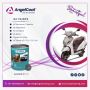 Top NC Paints | Nitro Cellulose Paints Manufacturer In Ahmed
