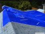 Are You Looking For Roof Tarping Services In Orlando?