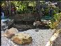 Know About Koi Ponds Above Ground 