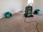 Hire a professional Water Damage Restoration company in Orla
