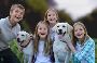 Labrador Retriever Dog Breeder Near Me