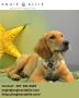 Martingale Collars
