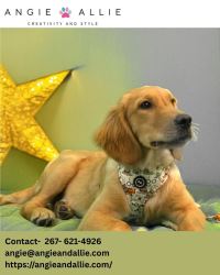 Dog Harnesses