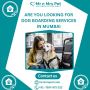 Best Dog Boarding Services in Mumbai Best Dog Boarding Services in Mumbai