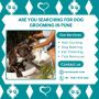 Best Dog Grooming at Home in Pune Best Dog Grooming at Home in Pune