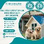 Best Dog Hostel in Bangalore at Affordable Price Best Dog Hostel in Bangalore at Affordable Price
