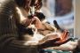 Discover Energy Healing for Pets & Animals | Animal Reiki Pl