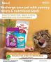 Meow Cat Food – Delicious Nutrition for Your Feline Friend! 