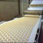 Best Food Industry Conveyor Belt Manufacturers