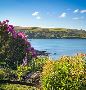 Discover Vacation Rentals Near the Beach in Cornwall