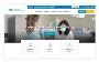 Top Medical Website Design Company for Healthcare Profession