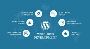 Best WordPress Development Company in India for Custom CMS 