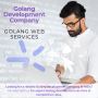 Top Golang Development Company in India - Custom Application