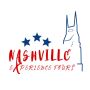 Nashville Experience Tours