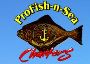 ProFish-n-Sea Alaska Chinook and Coho Salmon Fishing Charters