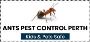 ANTS PEST CONTROL PERTH