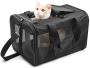 Best Cat Carriers