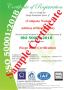 Escalate Your Dreams With EnMS ISO 50001 Certification