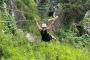 Unforgettable Adventures: Zip Fiji Nadi Tours Unraveled