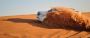 Arabian Dubai Tours & Safaris